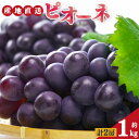 【ふるさと納税】ピオーネ 2房 約1kg | 果物 くだもの フルーツ ぶどう 葡萄 ブドウ ピオーネ 奈良県 平群町