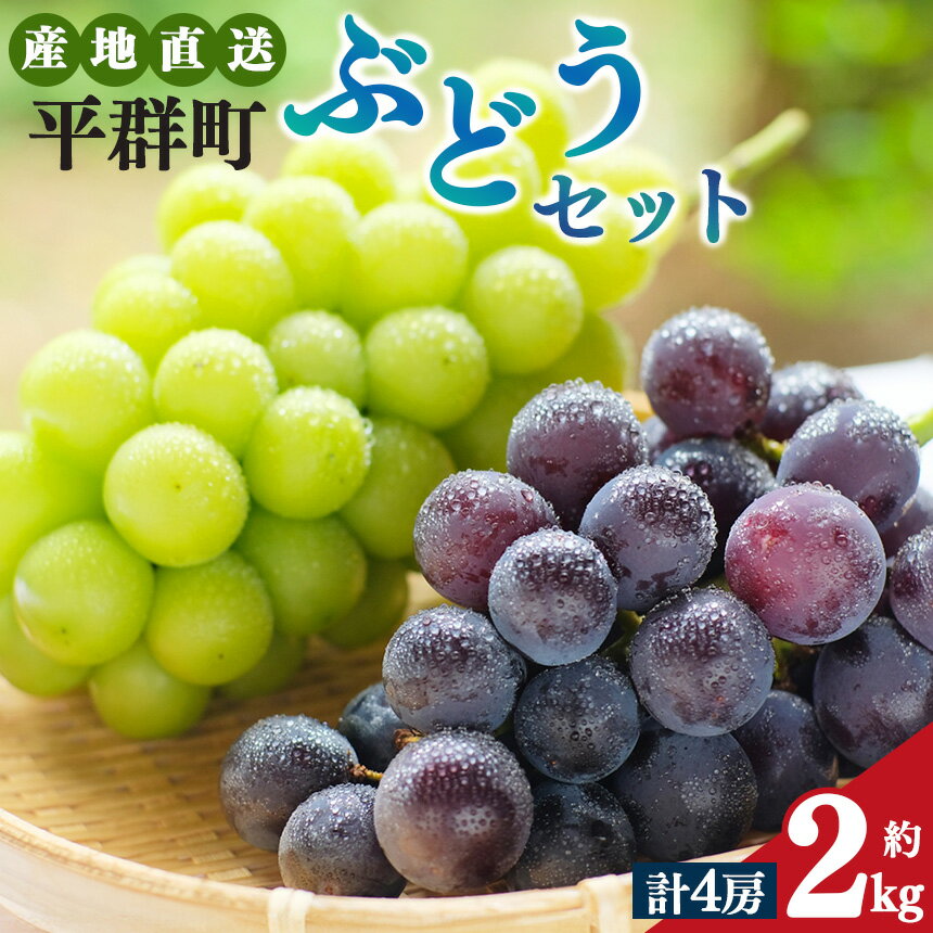 【ふるさと納税】平群の ぶどう ( 巨峰・ピオーネ等 ) & シャインマスカット 各2房 計4房 約2kg | 果物 くだもの フルーツ ぶどう 葡萄 ブドウ 巨峰 ピオーネ シャイン マスカット 奈良県 平群町