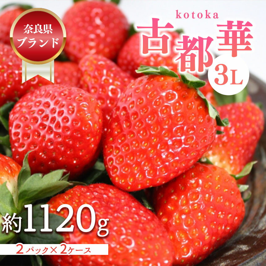 【ふるさと納税】先行予約 いちご 平群の古都華 3Lサイズ （2パック×2ケース） 計4パック 大粒 苺 完熟 甘い 平群町