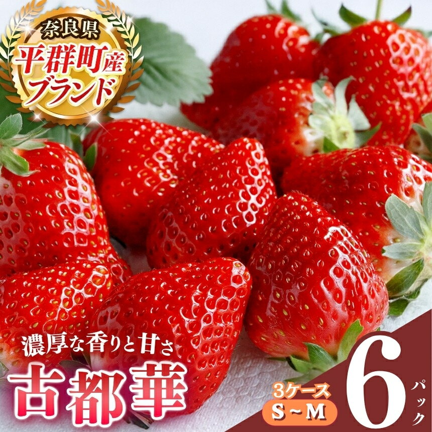 いちご 平群の古都華 S〜Mサイズ (2パック×3ケース)計6パック 阪野農園 | 先行予約 フルーツ 果物 くだもの ブランド いちご 苺 古都華 ことか 甘い 希少 希少品種 3月 4月 発送 旬 送料無料 濃厚 香り 果汁 味わい深い 農家直送 名産地 奈良県 平群 町