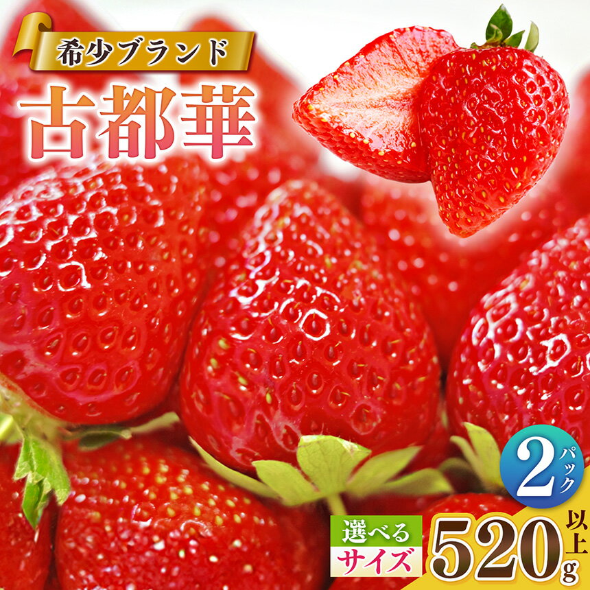 【ふるさと納税】 いちご 【サイズが選べる!】平群の古都華 扇田農園 | 果物 くだもの フルーツ 苺 イチゴ いちご 古都華 ことか 奈良県 平群町 限定出荷 ふるさと納税 苺 ふるさと苺 高級 ブランド苺 旬 産地 直送 扇田農園