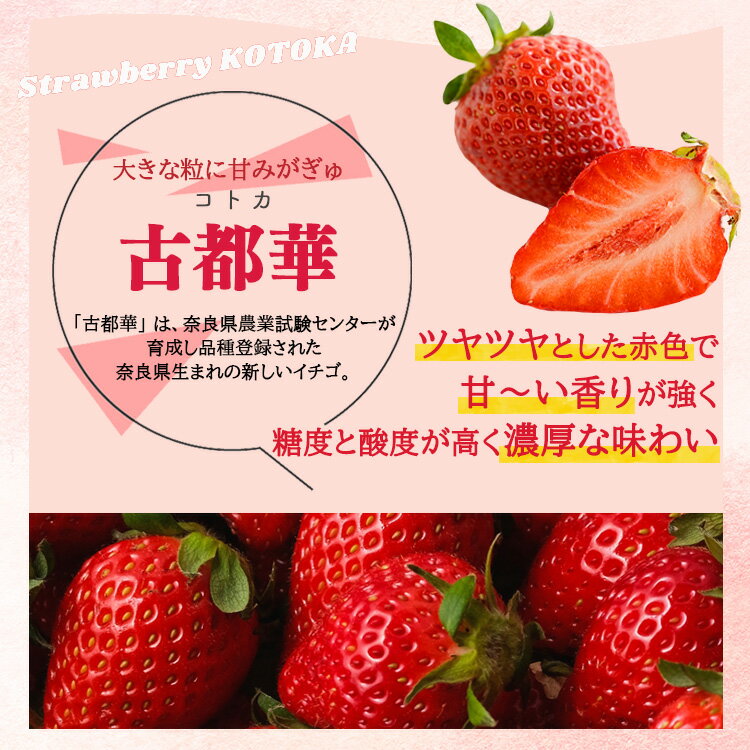 【ふるさと納税】先行予約 いちご 平群の古都華 2Lサイズ （2パック×2ケース） 計4パック 大粒 苺 完熟 甘い 平群町