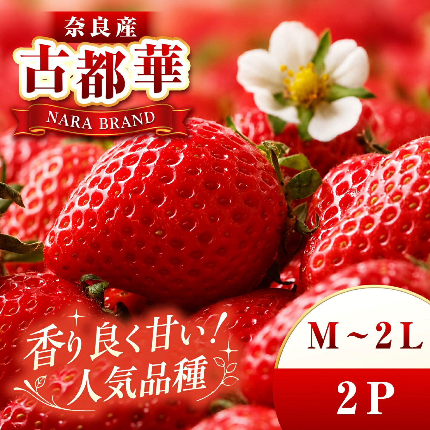 ＼ 楽天ふるさと納税セレクション / 平群の古都華 いちご (M〜 2Lサイズ) 2パック | 先行予約 果物 くだもの フルーツ 苺 イチゴ いちご ストロベリー 古都華 ことか 旬の品種 奈良県 平群町