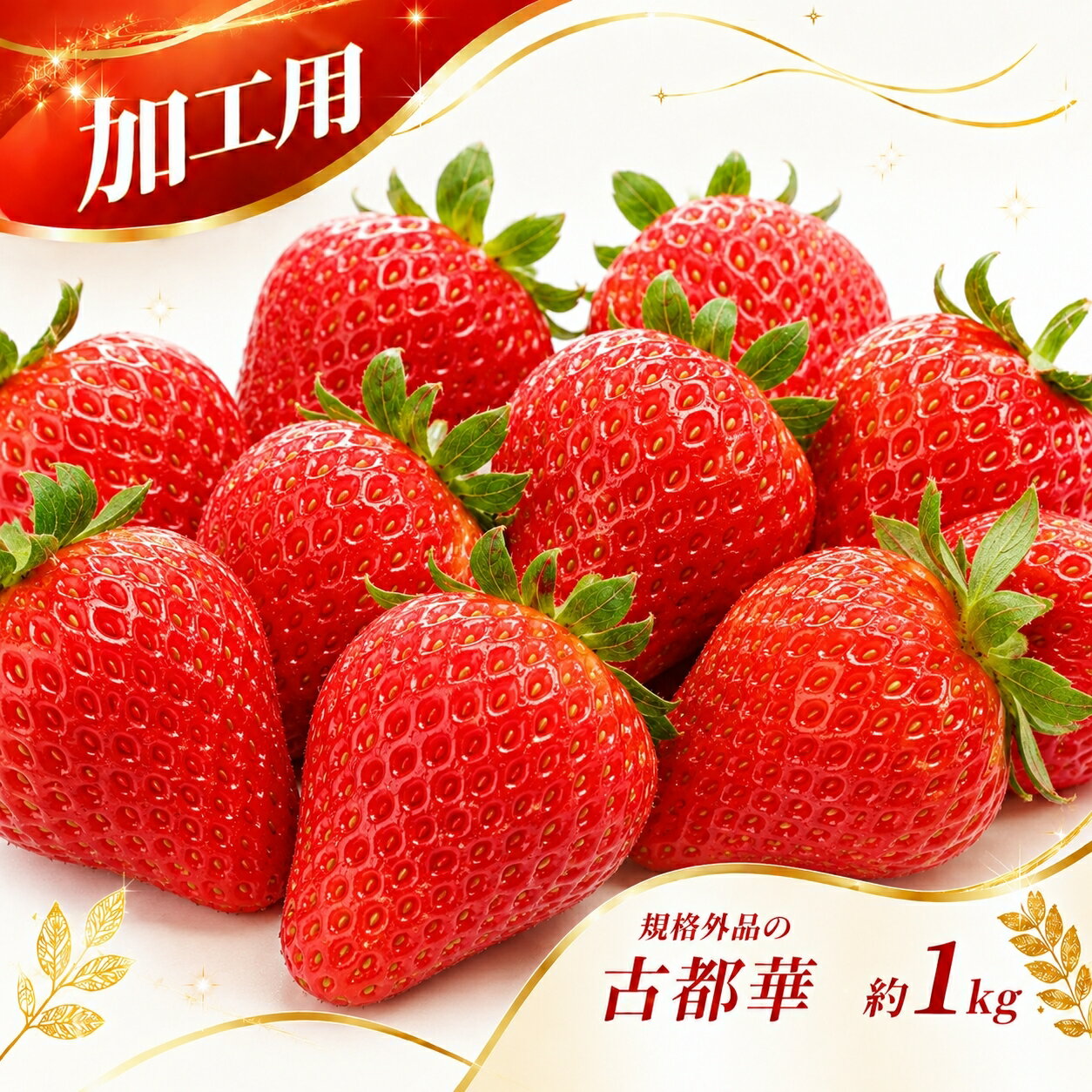 [ 加工用 ]規格外品 の 古都華 約 1kg | 先行予約 果物 くだもの フルーツ 苺 イチゴ いちご ストロベリー 古都華 ことか 旬の品種 加工用 規格外品 ジャム コンポート 奈良県 平群町