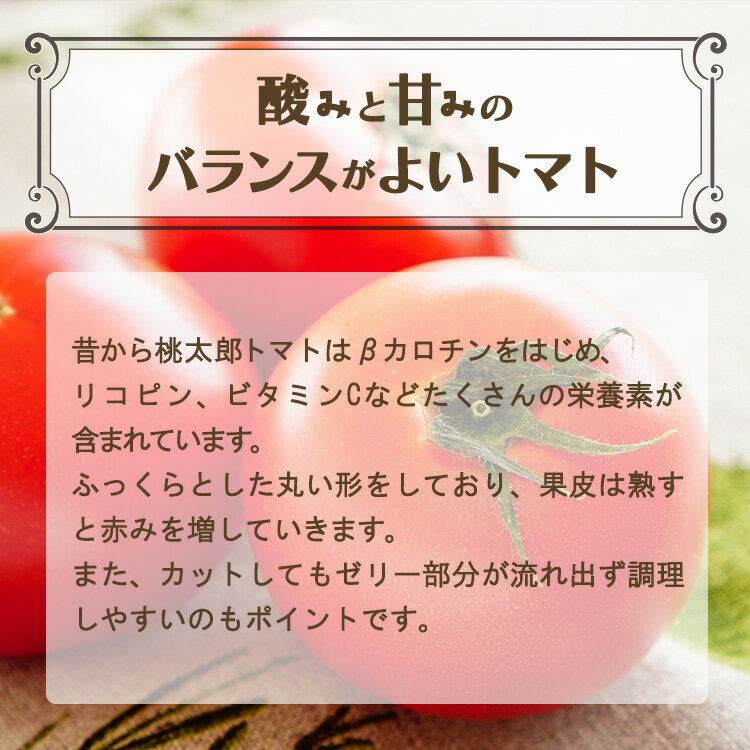 【ふるさと納税】先行予約 【定期便2回】 桃太郎 トマト（12～15玉）約2kg×2回 （計4kg） 新鮮 奈良県 平群町 甘い とまと