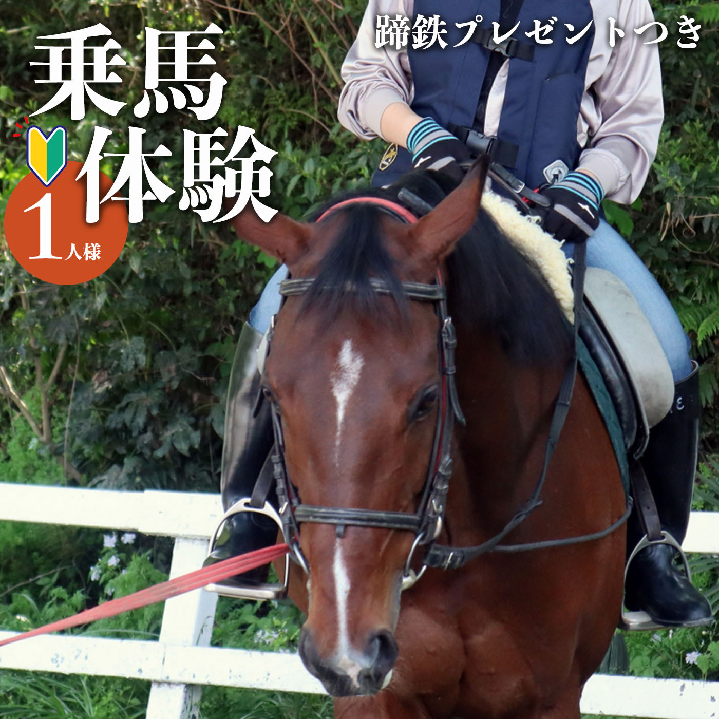 乗馬体験 お1人様用（蹄鉄プレゼント） 商品説明 名称 乗馬体験 お1人様用（蹄鉄プレゼント） 内容量 乗馬体験　未経験者向け ※小学4年生以上(140cm以上。応相談) 生産地 奈良県 平群町 注意事項 【発送に関してのお知らせ】 申込用紙が届きましたら、ご自身でご予約をお願いします。 提供元 フジライディングパーク ・ふるさと納税よくある質問はこちら ・寄付申込みのキャンセル、返礼品の変更・返品はできません。あらかじめご了承ください。乗馬体験 お1人様用（蹄鉄プレゼント） FUJIライディングパークでは、国際馬術連盟公認インストラクターを中心に充実した指導により安心して乗馬体験ができます。 体力に自信のない方や年配の方でもお楽しみできます。 乗馬は心身にメリットいっぱいです！ ・有酸素運動（またがってバランスとるだけでも無意識に体幹トレーニングとなります） ・馬の優しい目やぬくもり、馬にまたがった景色の解放感、大きな動物と一体となる楽しさはドーパミンやノルアドレナリンが分泌されます。 初めての人は、まず試してください。 馬に触れ、停止、常足などで左右への誘導を体験してみましょう。30分後には気分はもうライダーです。 ※小学4年生以上(140cm以上。応相談) ※必ずお読みください 【重要なお願い】 申込用紙が届きましたら、ご自身でご予約をお願いします。 「ふるさと納税」寄付金は、下記の事業を推進する資金として活用してまいります。 寄付を希望される皆さまの想いでお選びください。 （1）福祉などに関する事業 （2）教育、少子化対策などに関する事業 （3）自然環境保全に関する事業 （4）歴史文化保存に関する事業 （5）町政全般に対する寄附 （6）コミュニティ事業1「椿井城跡整備管理組合」 （7）コミュニティ事業2「平群町観光ボランティアガイドの会」 （8）コミュニティ事業4「へぐり時代祭り実行委員会」 （9）コミュニティ事業5「『竜田川まほろば遊歩道』推進の会」 特段のご希望がなければ、町政全般に活用いたします。 入金確認後、注文内容確認画面の【注文者情報】に記載の住所にお送りいたします。 発送の時期は、寄付確認後2ヵ月以内を目途に、お礼の特産品とは別にお送りいたします。 ●平群町 他のおすすめ返礼品3選 ● Heguri Rose バラの花束（7～10本）¥30,000 イタリアンジェラート mamma カップジェラート 8個セット¥10,000 酵素玄米ごはん(長岡式) 150g×16個¥20,000