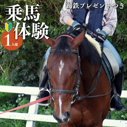 体験乗馬 お1人様用 (蹄鉄プレゼントつき) 馬 未経験者歓迎 体幹トレーニング 楽しい ふれあい 奈良県