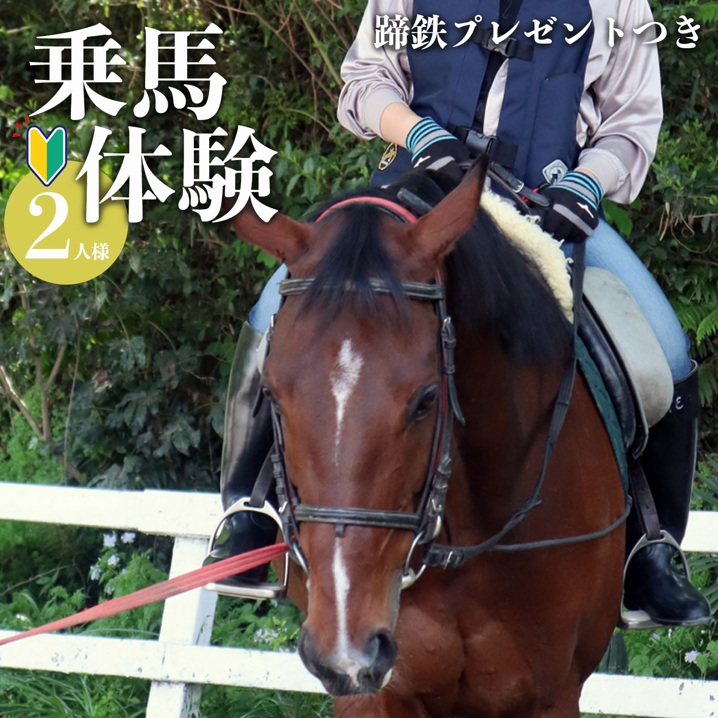 9位! 口コミ数「0件」評価「0」体験乗馬 お2人様用 (蹄鉄プレゼントつき) 馬 未経験者歓迎 体幹トレーニング 楽しい ふれあい 奈良県