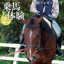 【ふるさと納税】体験乗馬 お2人様用 (蹄鉄プレゼントつき) 馬 未経験者歓迎 体幹トレーニング 楽しい ふれあい 奈良県 1