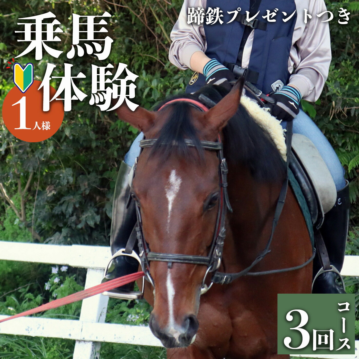 【ふるさと納税】乗馬教室 お1人様用【3回コース】 (蹄鉄プレゼントつき) 馬 未経験者歓迎 体幹トレーニング 楽しい ふれあい 奈良県