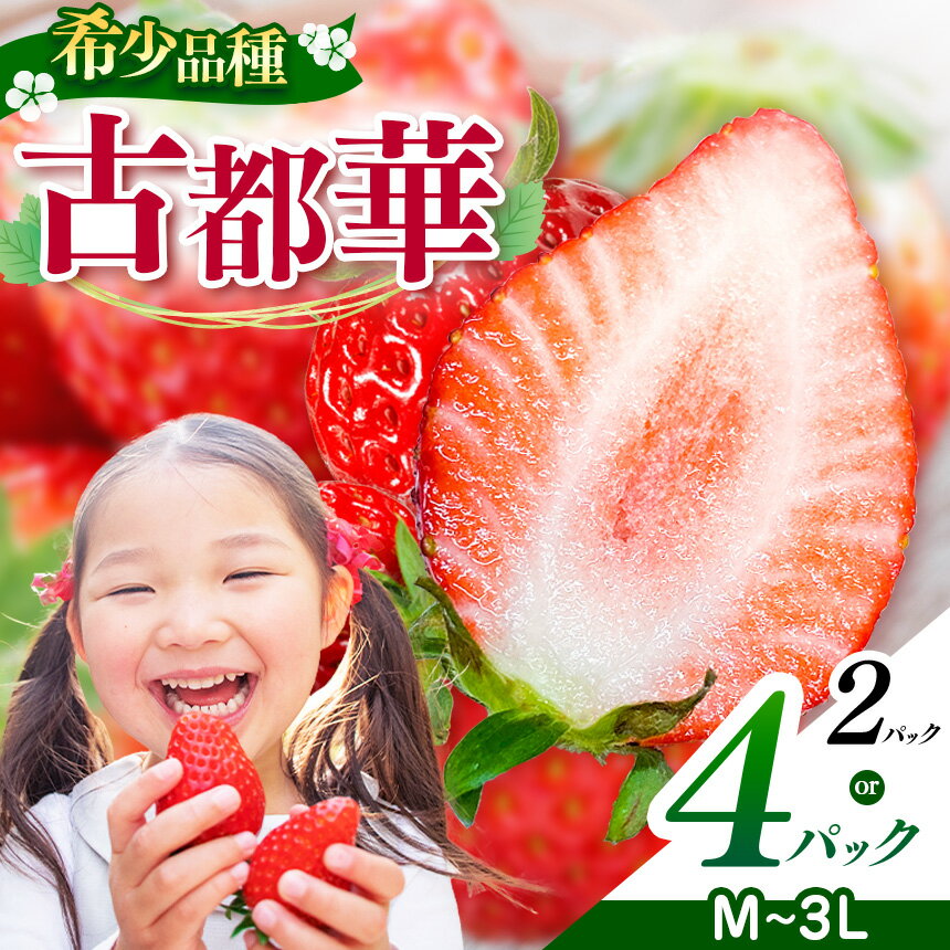 【ふるさと納税】【選べる内容量】平群の古都華 2L〜3L or M～L サイズ | 果物 くだもの フルーツ 苺 イチゴ ストロベリー 古都華 ことか 旬の品種 フードロス 産地直送 奈良県 平群町
