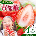 【ふるさと納税 いちご 平群の古都華 2L~3Lサイズ (2~4パック 1~2ケース) 計2~4パック OKADAファーム | 果物 くだもの フルーツ 苺 イチゴ ストロベリー 古都華 ことか 旬の品種 フードロス 産地直送 奈良県 平群町 1月発送 2月発送