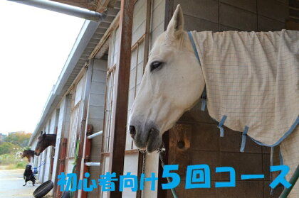 乗馬教室【5回コース】(蹄鉄プレゼントつき)