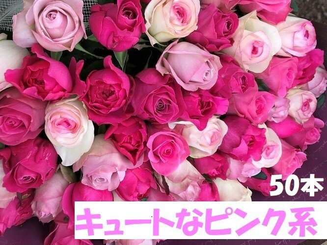 【ふるさと納税】Heguri Rose バラの花束（ピンク系濃淡 50本）新鮮　長持ち　高品質　豪華 綺麗　平群のバラ 平群ブランド 誕生日 記念日 お祝い キュート ピンク かわいい