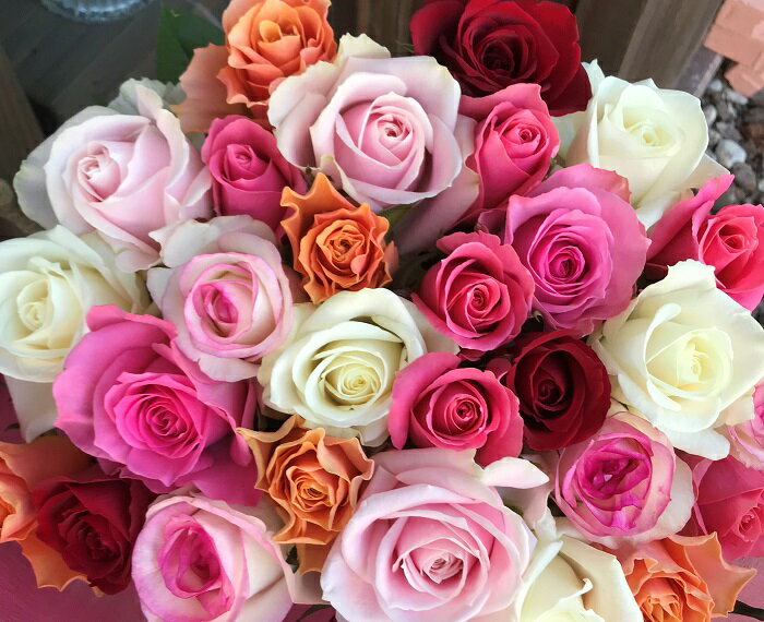 【ふるさと納税】Heguri Rose バラの花束（28本）新鮮 高品質 綺麗 平群のバラ 平群ブランド 誕生日 記念日 お祝い