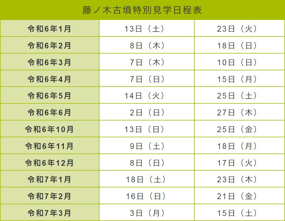 【ふるさと納税】藤ノ木古墳を限定見学!みんなで...の紹介画像2