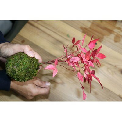 奈良県斑鳩町の画像2