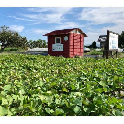 奈良県斑鳩町の画像3