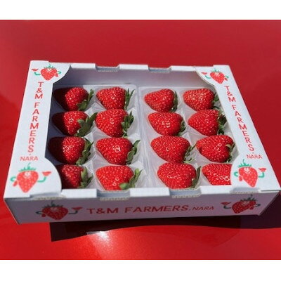 いちご 古都華・ことか2パック(8〜15粒入り/1pc)[配送不可地域:離島・北海道・沖縄県・東北]