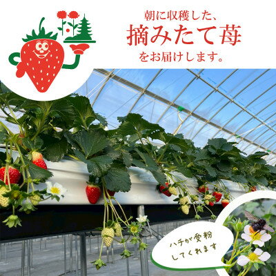 奈良県斑鳩町の画像3