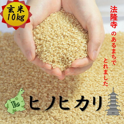 【ふるさと納税】世界遺産「法隆寺」のあるまちで採れた玄米【ヒノヒカリ】10kg　令和7年産【1756406】