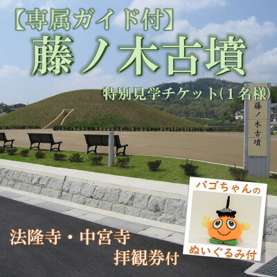 [専属ガイド付]藤ノ木古墳を限定見学 斑鳩の里満喫セット(1名様用)