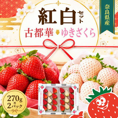 [古都華 × ゆきざくら]紅白いちごセット 2パック(8〜15粒入り/1pc)[配送不可地域:離島・北海道・沖縄県・東北]