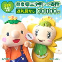 【ふるさと納税】三宅町への応援寄附(返礼品はありません) 奈良県 三宅町 返礼品なし 1口 30000円