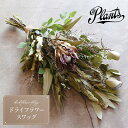 【ふるさと納税】スワッグ(ドライフラワー)The Plants 花 フラワーアレジメント おしゃれ 花束 母の日 父の日 ギフト プレゼント インテリア