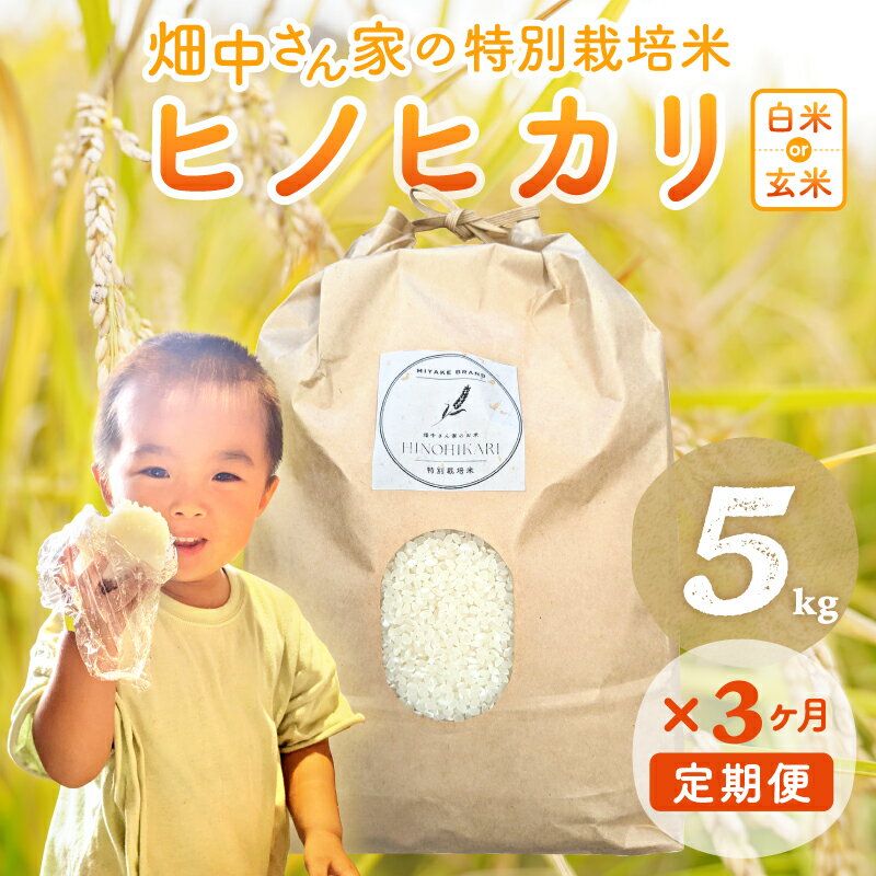 楽天市場】奈良県 ヒノヒカリ 30kgの通販 楽天市場】奈良県 ヒノヒカリ 30kgの通販