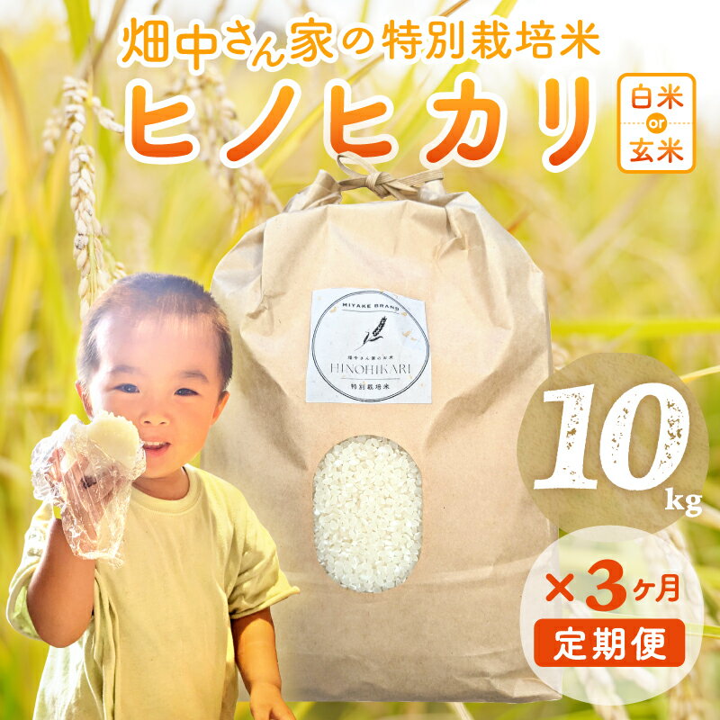 【ふるさと納税】【3ヶ月定期便】 特別栽培米（減農薬米） ｢ひのひかり｣ 白米 玄米 可 5kg ～10kg 奈良県 三宅町 ヒノヒカリ おいしい 冷めても もちもち 安心