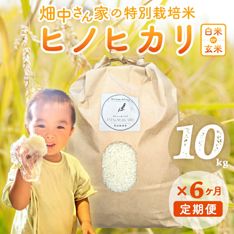 【ふるさと納税】【6ヶ月定期便】 特別栽培米（減農薬米） ｢ひのひかり｣ 白米 玄米 可 5kg ～10kg 奈良県 三宅町 ヒノヒカリ おいしい 冷めても もちもち 安心