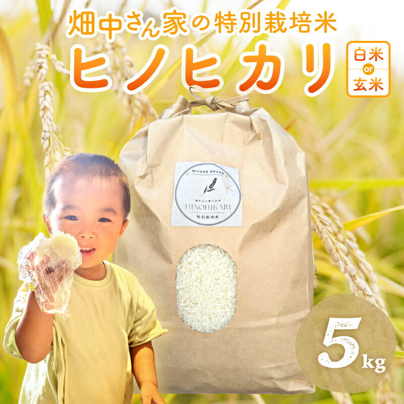 楽天市場】ヒノヒカリ 10kg 奈良県産の通販 楽天市場】ヒノヒカリ 10kg 奈良県産の通販