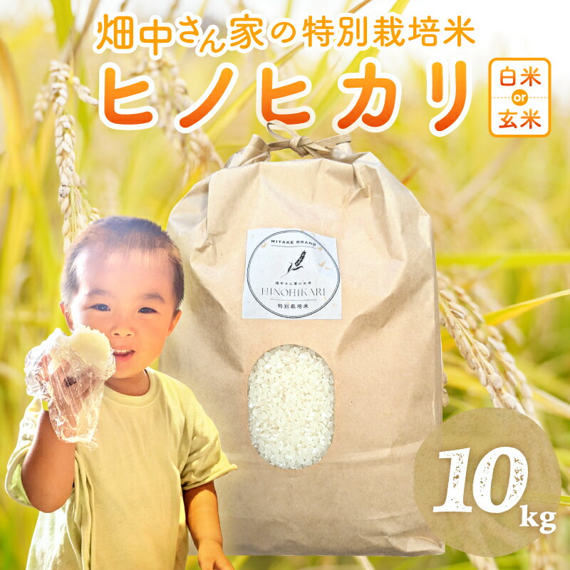 【ふるさと納税】特別栽培米（減農薬米） ｢ひのひかり｣ 白米 玄米 可 5kg ～10kg 奈良県 三宅町 ヒノヒカリ おいしい 冷めても もちもち 安心