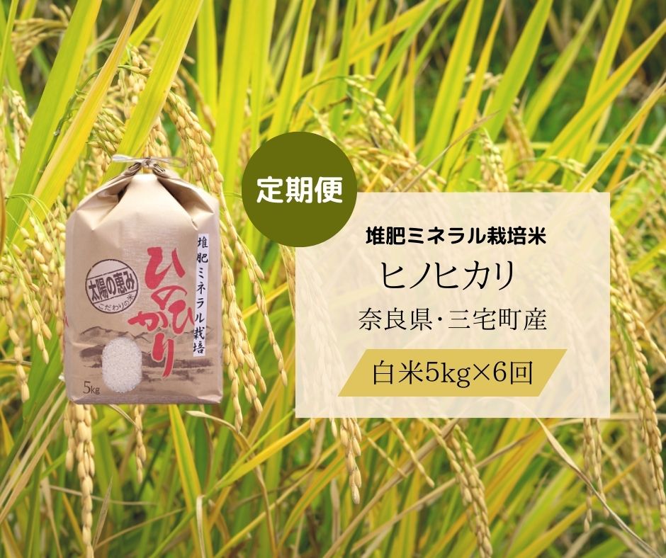 【ふるさと納税】【6回定期便】「ひのひかり」白米 玄米 可 5kg × 6ヶ月 連続でお届け 30kg 奈良県 三宅町 志埜米穀店 ヒノヒカリ 冷めてもおいしい もちもち 堆肥ミネラル栽培米