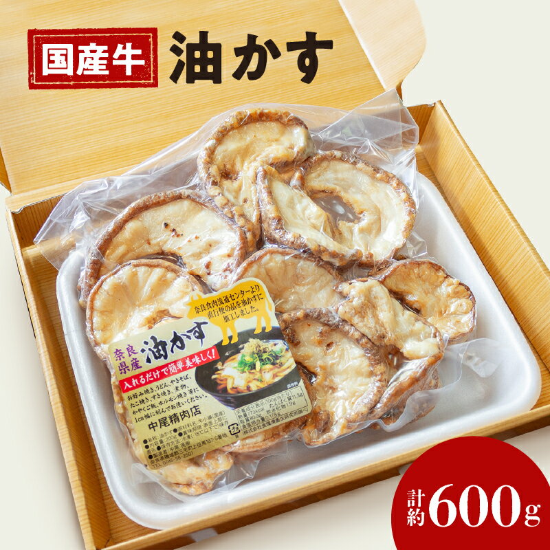 【ふるさと納税】 自家製 国産 牛 あぶらかす 600g ホルモン かすうどん お好み焼き たこ焼き チャー...