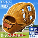 【ふるさと納税】軟式 内野手 用 野球 グローブ（カラー オ
