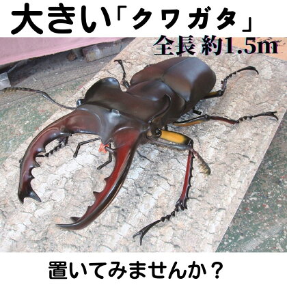 ミヤマ クワガタ 大型 リアル 模型 クワガタ 昆虫 おもちゃ 飾り（透明ケース付）