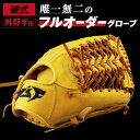 【ふるさと納税】硬式オーダーグローブ（グラブ）（外野手用）【野球工房iプラス】