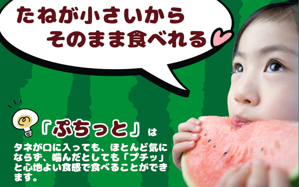 【ふるさと納税】種まで美味しいスイカ「ぷちっと」 【2026年6月初旬～6月下旬ごろ発送予定】 ／ ヒロちゃんファーム 西瓜 スイカ すいか 果物 フルーツ デザート 奈良県 田原本町