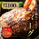 11位! 口コミ数「0件」評価「0」（冷凍） 国産牛肉100％ 食べ応え満点 手作り・手ごね ハンバーグ 750g ／ 歩商事 自家製タレ 贈答用 ギフト 奈良県 田原本町