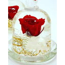 【ふるさと納税】クリスタルドーム 「真実の愛・赤い薔薇」 / fleur misaki お祝い インテリア 雑貨 ハーバリウム プレゼント ギフト 奈良県 田原...
