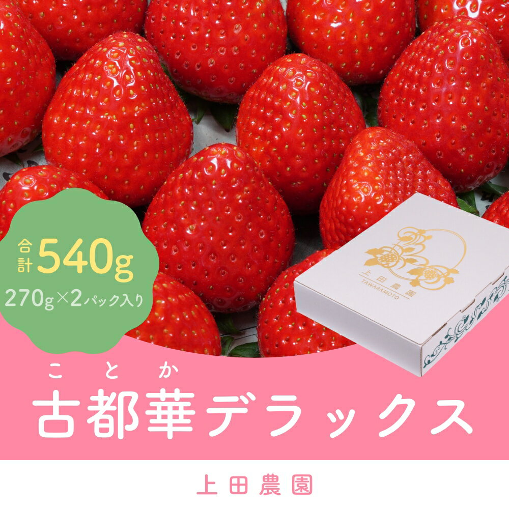 （冷蔵）イチゴ 奈良県産高級ブランド品種「古都華」デラックス（270g×2パック） ／ 上田農園 苺 いちご フルーツ 奈良県 田原本町