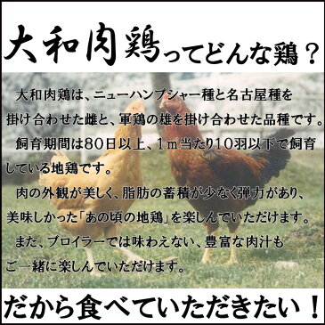 【ふるさと納税】曽爾高原ビール10本と大和肉鶏「黄金のからあげ」セット