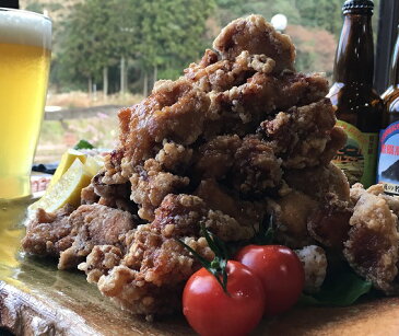 【ふるさと納税】曽爾高原ビール10本と大和肉鶏「黄金のからあげ」セット