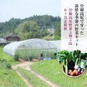 【ふるさと納税】【 定期便 】【2024年6月より順次発送】 曽爾高原野菜5種5品〜小さなご家庭食べきりサイズ〜を6ヶ月連続でお届けします ふるさと納税 野菜 定期 野菜セット 定期便 お楽しみ セット 詰め合わせ 送料無料 奈良 奈良県 お得 支援 応援 先行予約