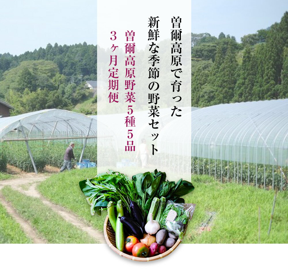 【ふるさと納税】【 定期便 】【2024年7月発送開始】曽爾高原夏野菜5種5品3ヶ月定期便〜ご夫婦や小さなご世帯の食べきりサイズ〜 ふるさと納税 野菜 定期 野菜セット 定期便 お楽しみ セット 詰め合わせ 送料無料 奈良 奈良県 お得 支援 応援 美味しい 先行予約