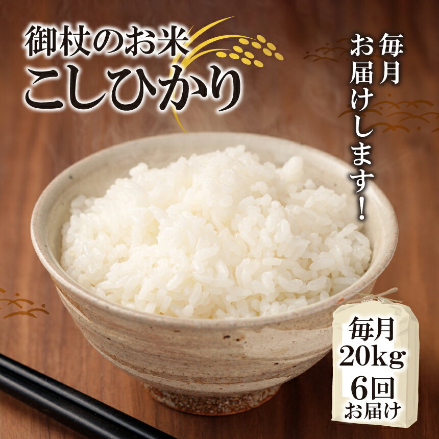 御杖のお米 こしひかり 20kgを毎月6回お届け[ 頒布会 ] 定期便 コシヒカリ 御杖村 米 20kg 6回