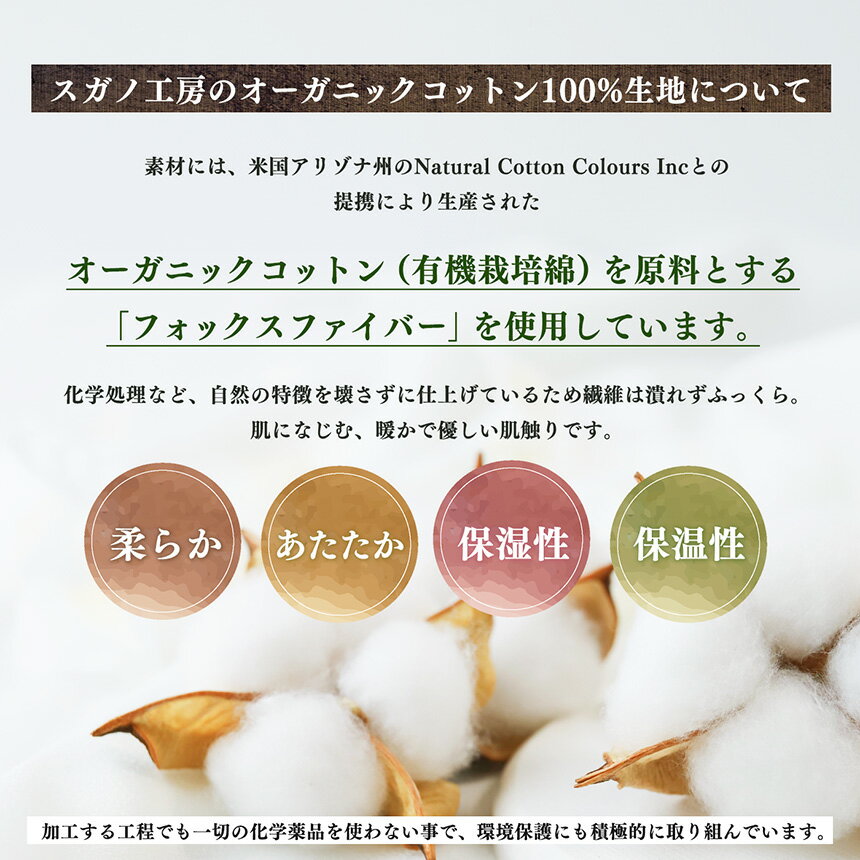 【ふるさと納税】SuganoORGANIC ブラキャミソール フリーサイズ 綿 USAオーガニックコットン 100% 白 茶 緑 オーガニック コットン インナー 下着 キャミソール フリー スガノ工房