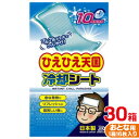 26位! 口コミ数「0件」評価「0」ひえひえ天国 冷却シート 10時間 大人用 30箱入り(16枚x30箱=480枚)【1292394】